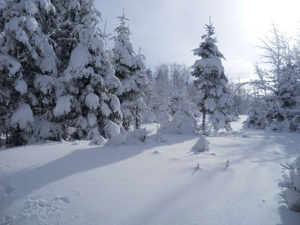 20130203 Areh-Bajgot zimska pravljica - foto povečava