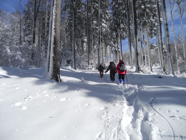 20130203 Areh-Bajgot zimska pravljica - foto