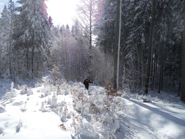 20130203 Areh-Bajgot zimska pravljica - foto