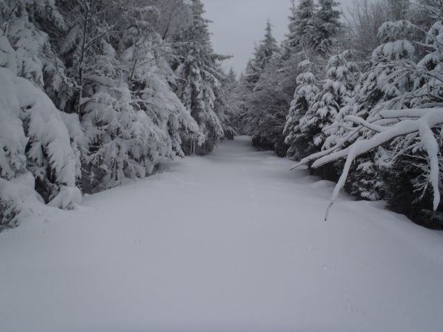 20130203 Areh-Bajgot zimska pravljica - foto