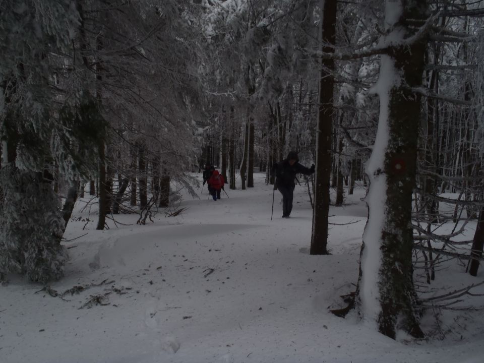 20130203 Areh-Bajgot zimska pravljica - foto povečava