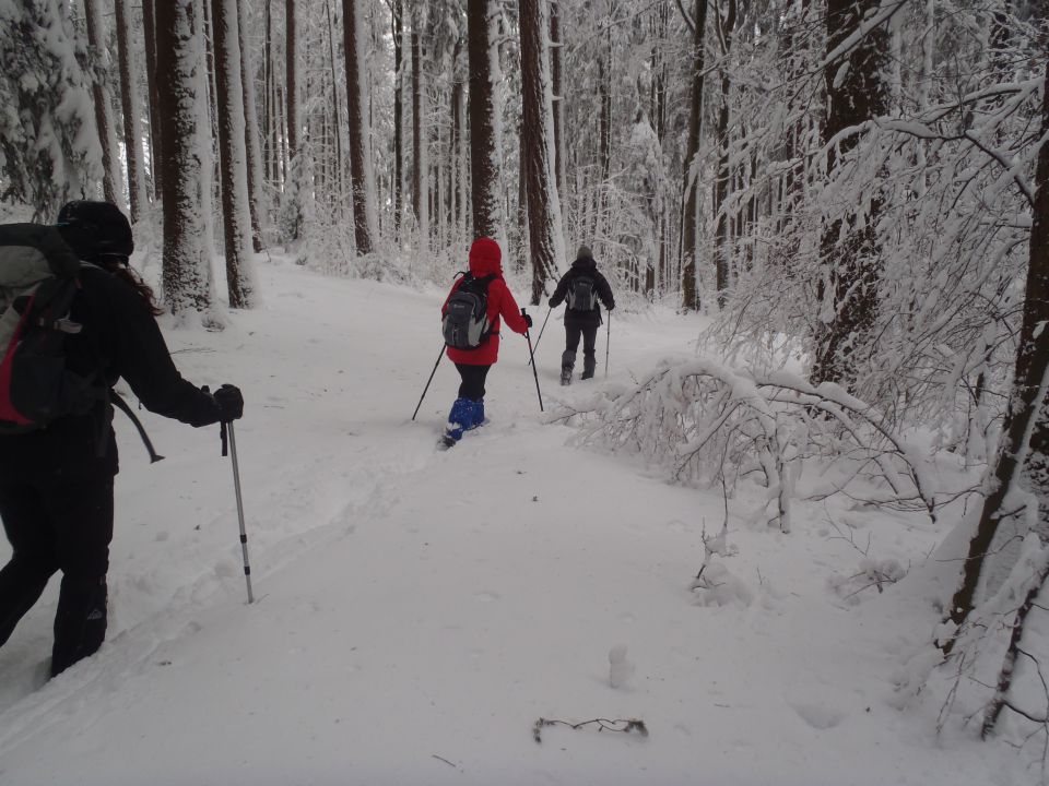 20130203 Areh-Bajgot zimska pravljica - foto povečava