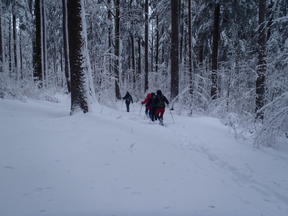 20130203 Areh-Bajgot zimska pravljica - foto povečava