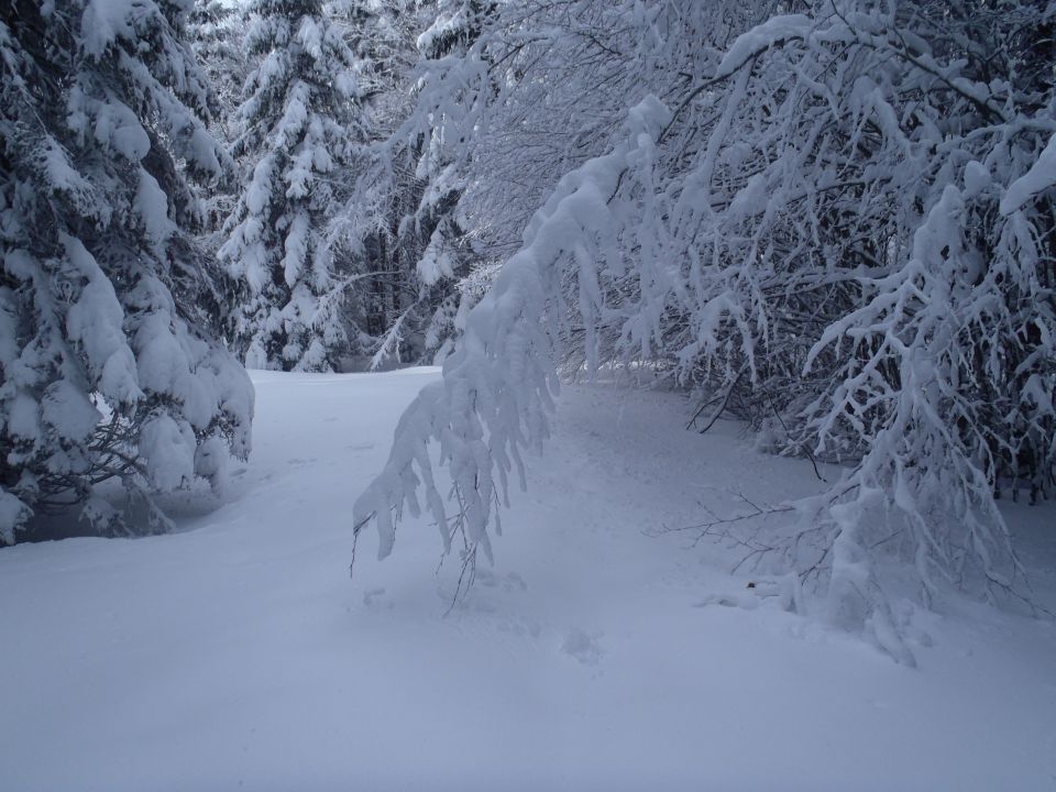 20130203 Areh-Bajgot zimska pravljica - foto povečava