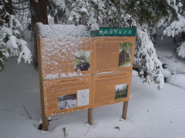 20130203 Areh-Bajgot zimska pravljica - foto