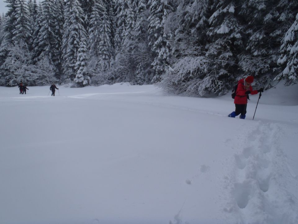 20130203 Areh-Bajgot zimska pravljica - foto povečava