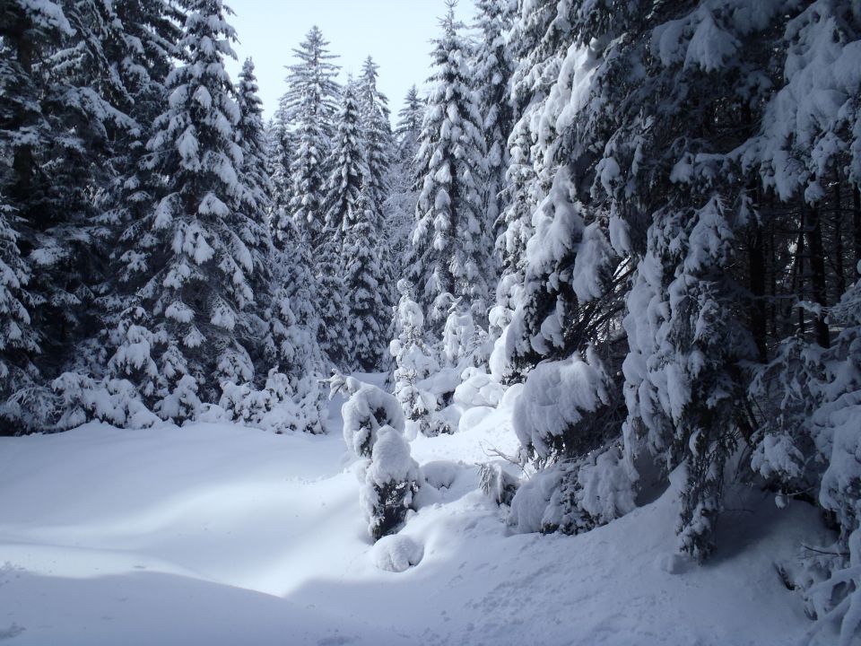 20130203 Areh-Bajgot zimska pravljica - foto povečava