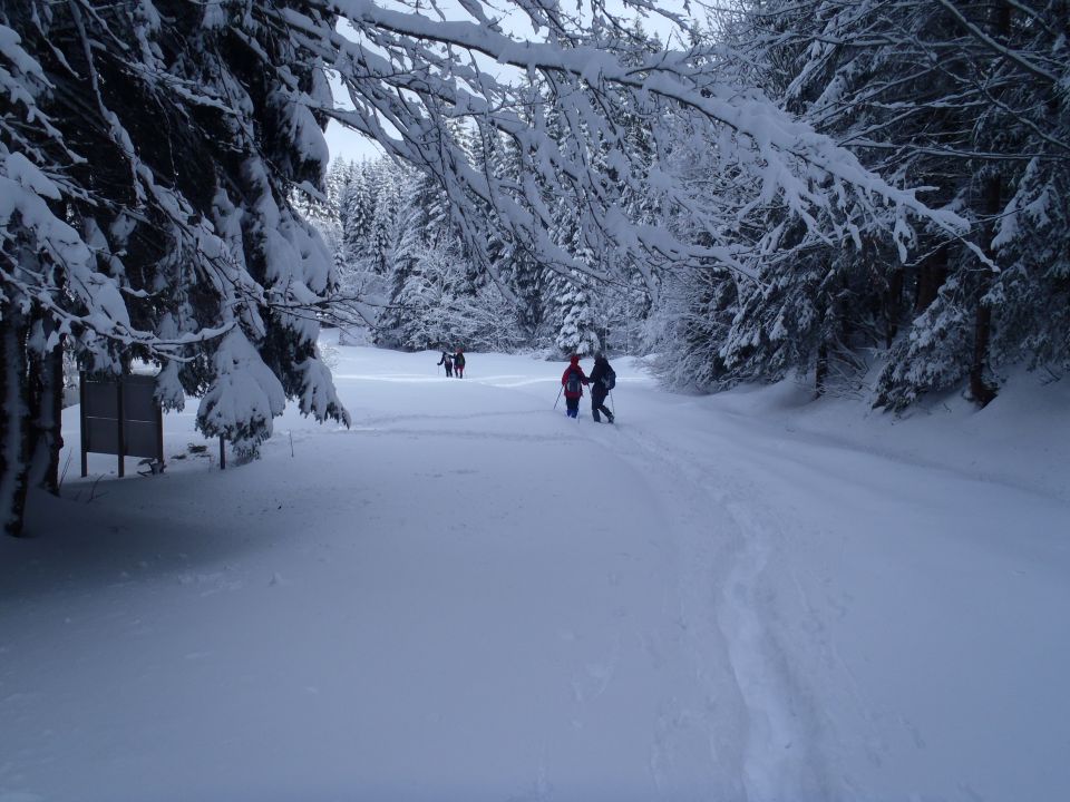 20130203 Areh-Bajgot zimska pravljica - foto povečava