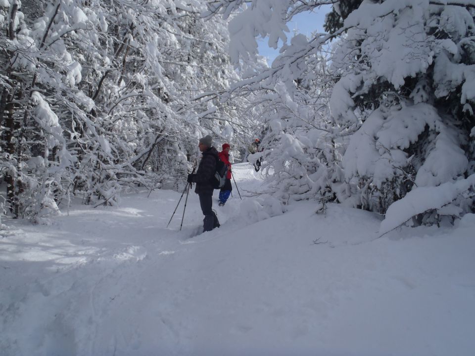 20130203 Areh-Bajgot zimska pravljica - foto povečava