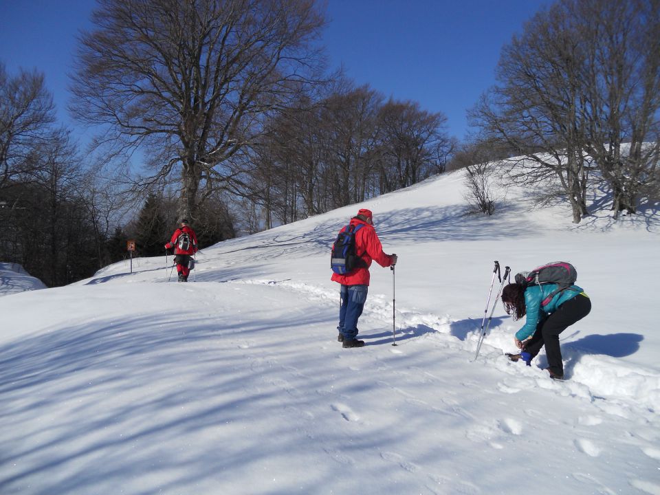 20130303 Lisca-Lovrenc in še skok na Bohor - foto povečava