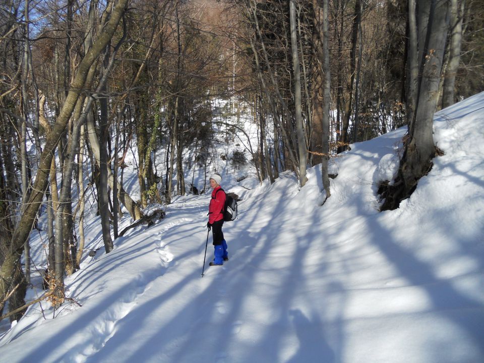 20130303 Lisca-Lovrenc in še skok na Bohor - foto povečava