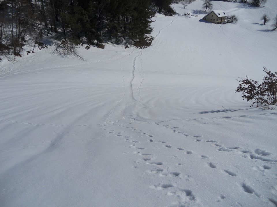 20130303 Lisca-Lovrenc in še skok na Bohor - foto povečava