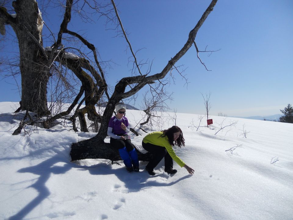 20130303 Lisca-Lovrenc in še skok na Bohor - foto povečava