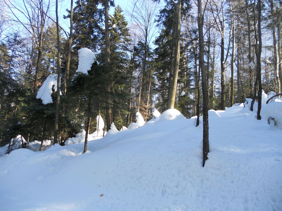 20130303 Lisca-Lovrenc in še skok na Bohor - foto povečava