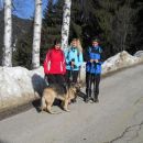 20130303 Košenjak