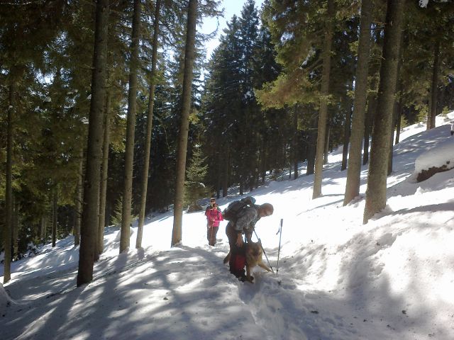 20130303 Košenjak - foto