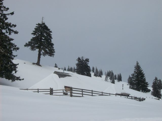20130208 Velika planina - foto
