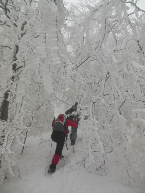 20130407 Bleguš in Dražgoše - foto