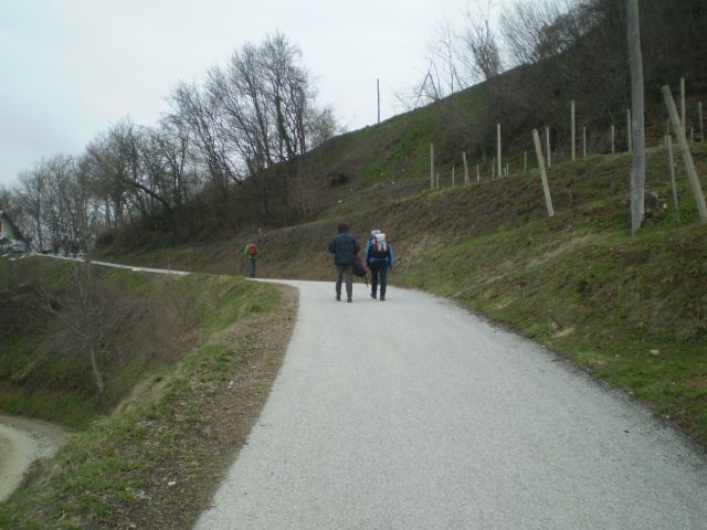 20130407 Po haloški poti Borl-Cirkulane - foto