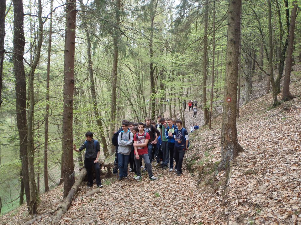 20130422 Po PPP z OŠ Beltinci - foto povečava