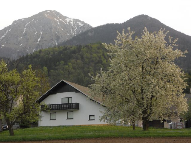 Začetek vasi Mače.