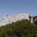Še nekaj korakov do vrha Malega Grintovca 1813 m.
