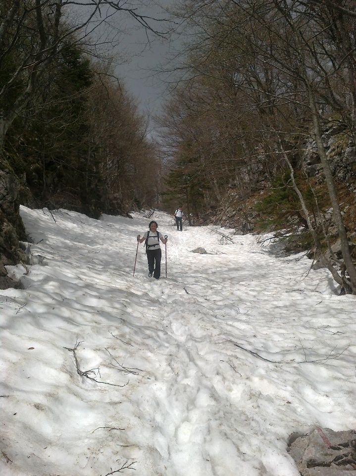 Pot navzdol po snežišču