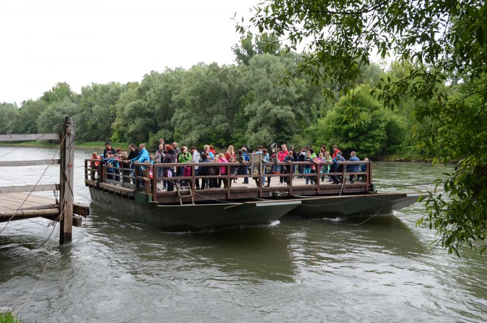 20130526 Spust po Muri - foto povečava