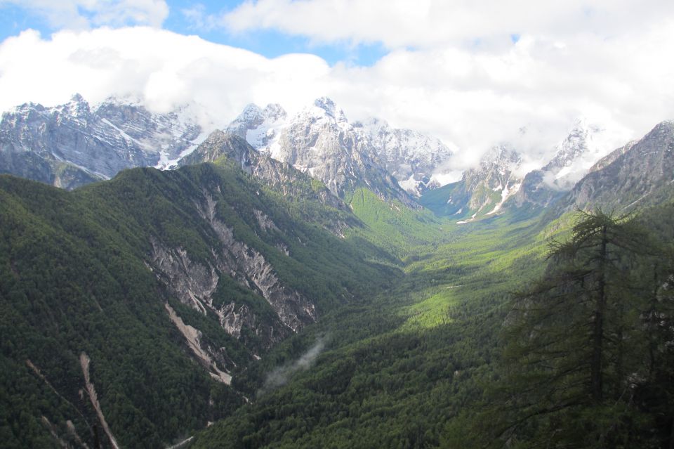 20130601 Vrtaška planina - foto povečava