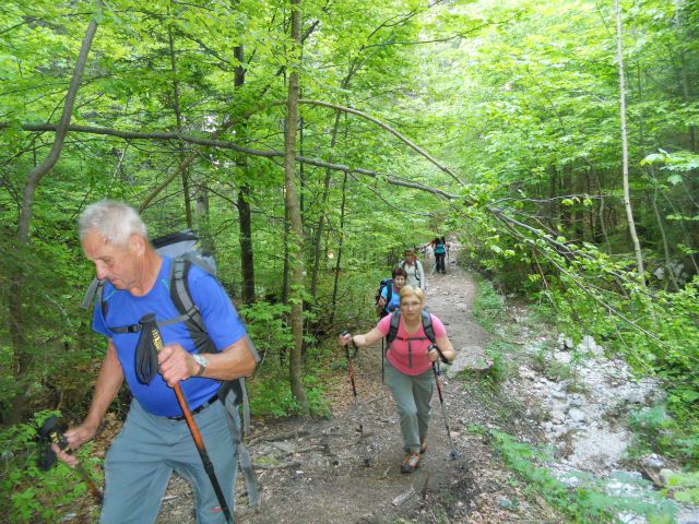 20130609 Planina-Golica-D.Baba-Dovje - foto