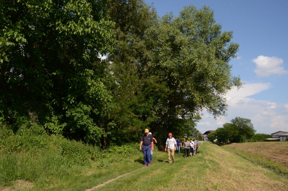 20130608 Okrog Murske Sobote - foto povečava