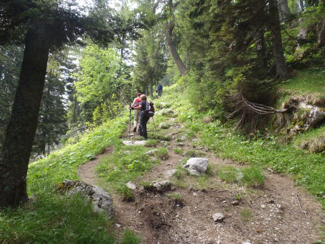 20130616 Ivarčko-grofovsaka-uršlja-križan.. - foto