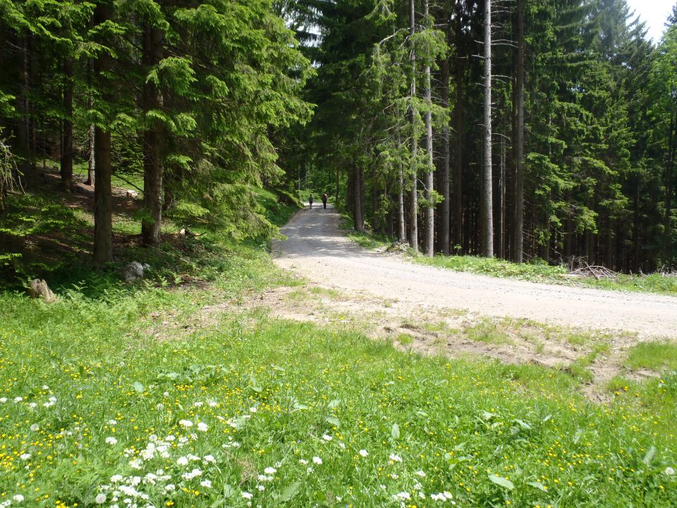 20130616 Ivarčko-grofovsaka-uršlja-križan.. - foto povečava