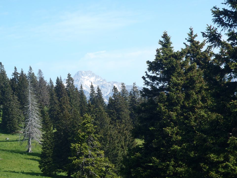 20130616 Dan slovenskih planincev - foto povečava