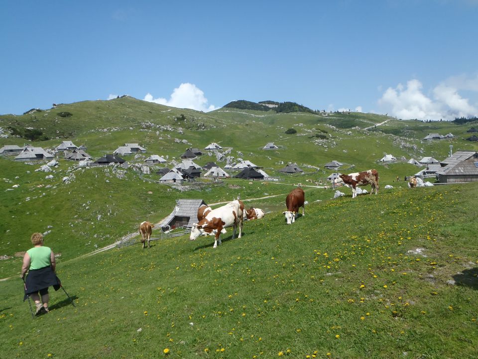 20130616 Dan slovenskih planincev - foto povečava