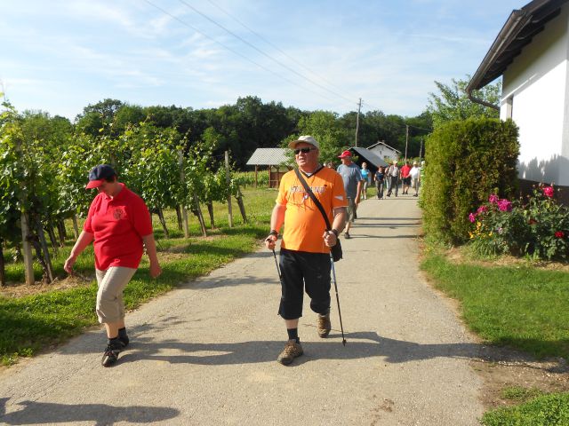 20130614 Vidov pohod - foto