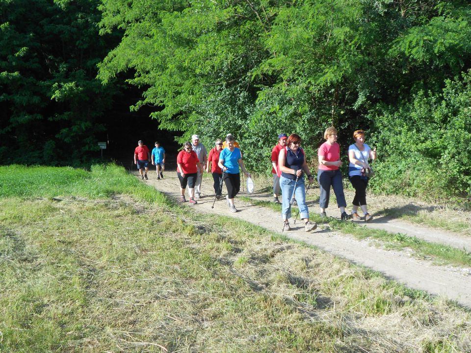 20130614 Vidov pohod - foto povečava