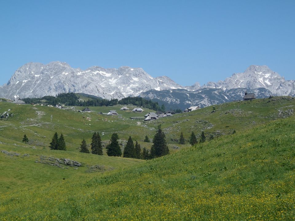 20130620 Velika planina - foto povečava