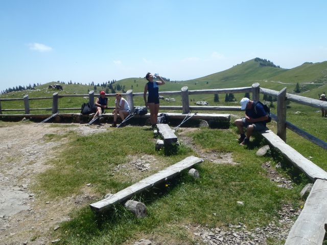 20130620 Velika planina - foto