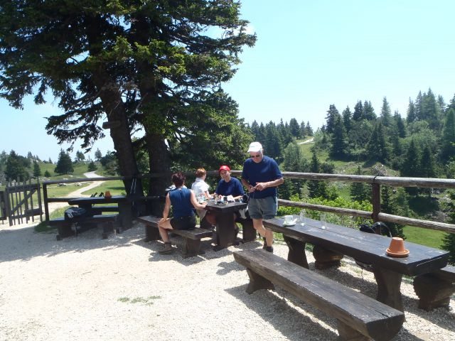 20130620 Velika planina - foto