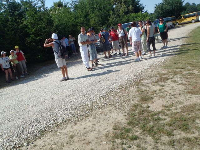 20130620 Velika planina - foto