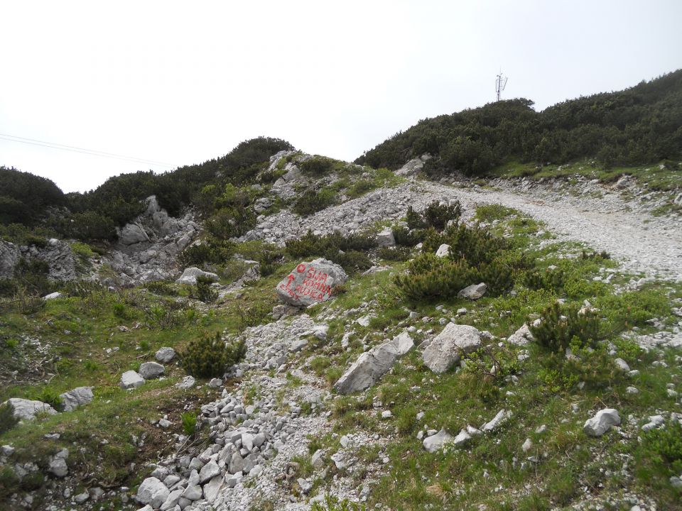 20130625 R.laz-Šija-Rodica-Č.prst - foto povečava