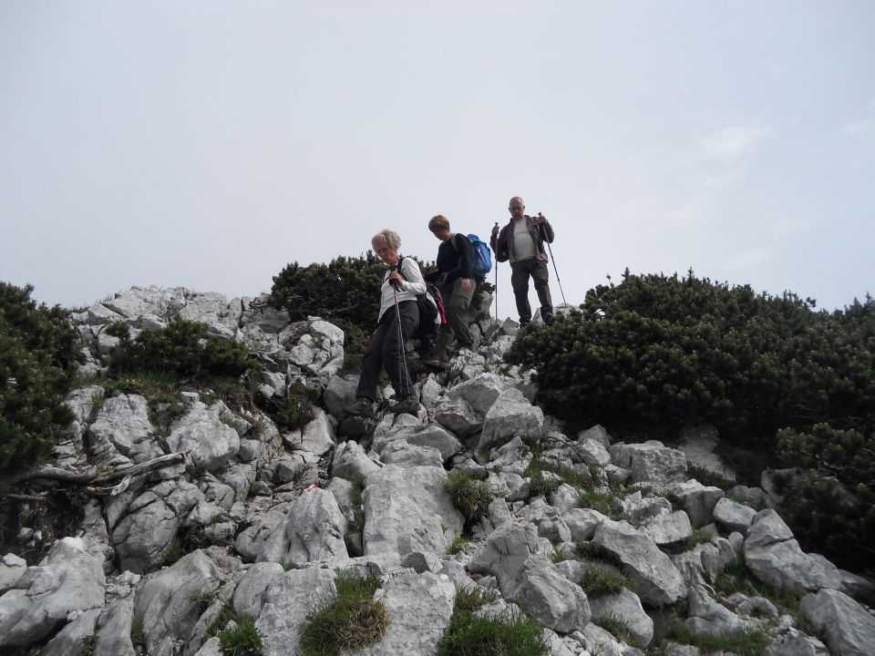 20130625 R.laz-Šija-Rodica-Č.prst - foto povečava