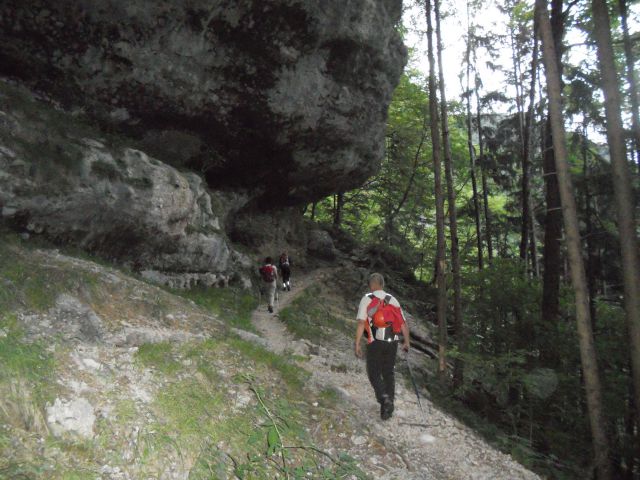 20130630 Kamn.b-repov kot-srebrno s-Planjava - foto