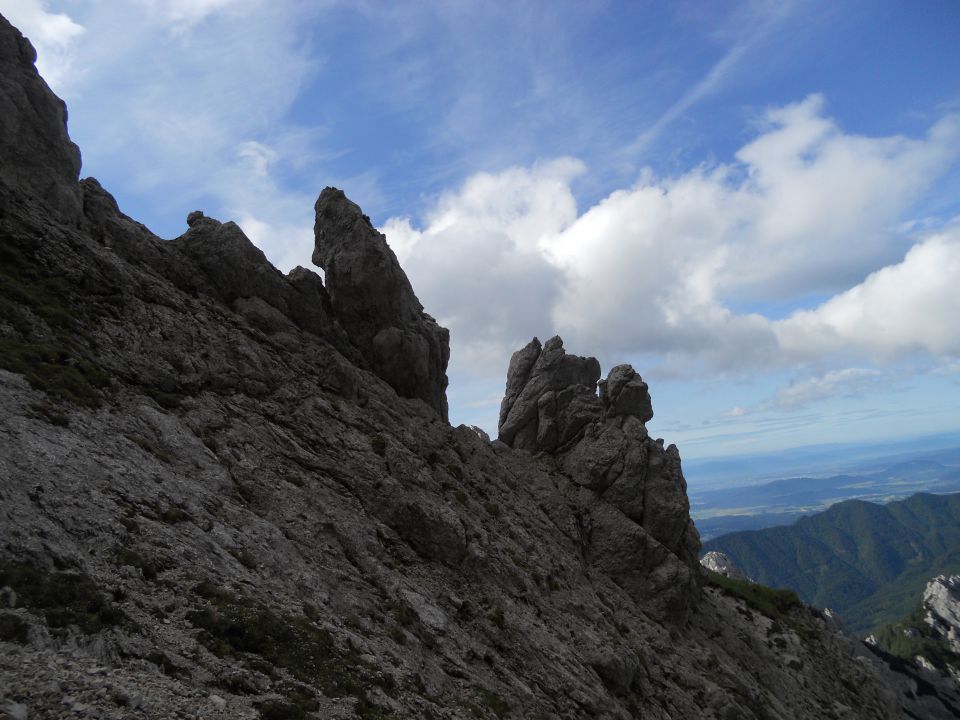 20130630 Kamn.b-repov kot-srebrno s-Planjava - foto povečava