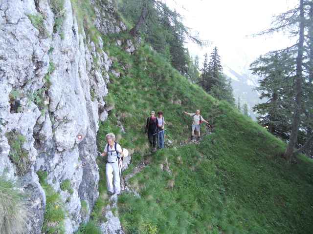 20130714 Suhadolnik,grdi graben,obe Kočni - foto