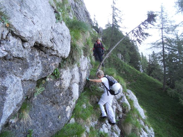 20130714 Suhadolnik,grdi graben,obe Kočni - foto