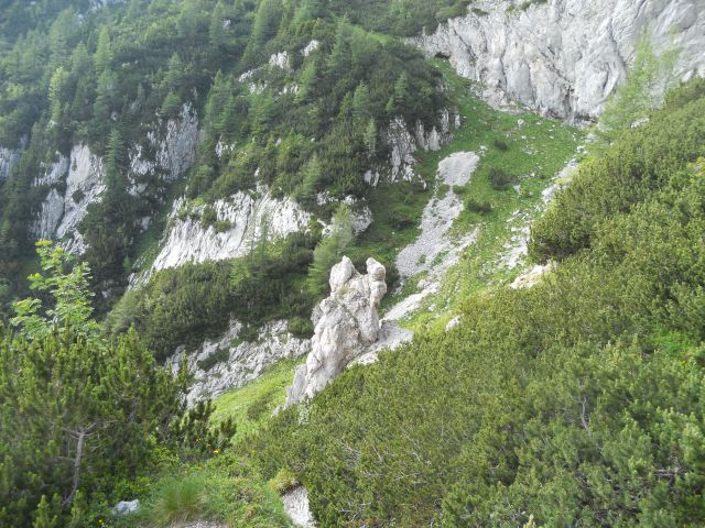 20130714 Suhadolnik,grdi graben,obe Kočni - foto