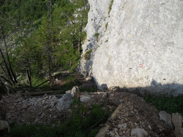 20130714 Suhadolnik,grdi graben,obe Kočni - foto