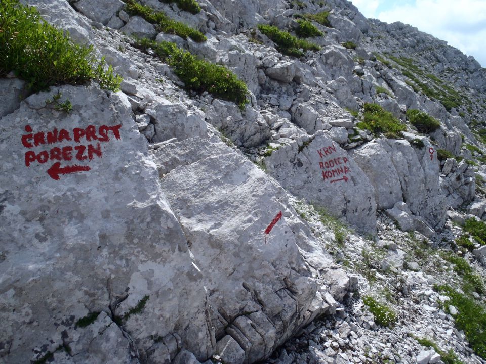 20130720 Orožn.,Črna p.Rodica Vogel Pl.Razor - foto povečava